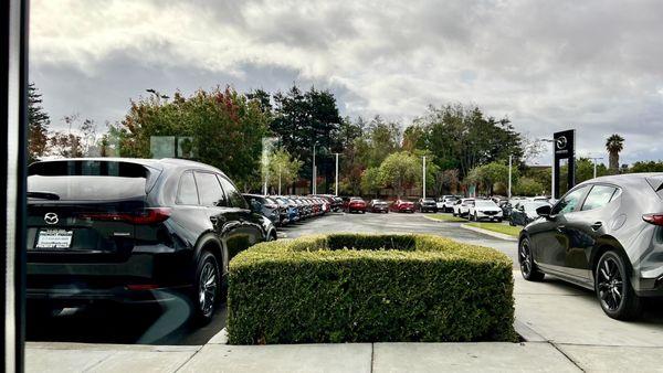 Fremont Mazda. The view from inside the showroom.