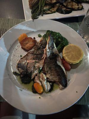 Il Branzino del Mediterraneo alla Piastra