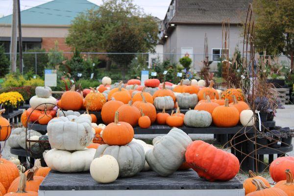 Iowa City Landscaping & Garden Center