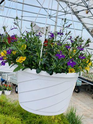 Unique Hanging Basket mixes no one else makes.