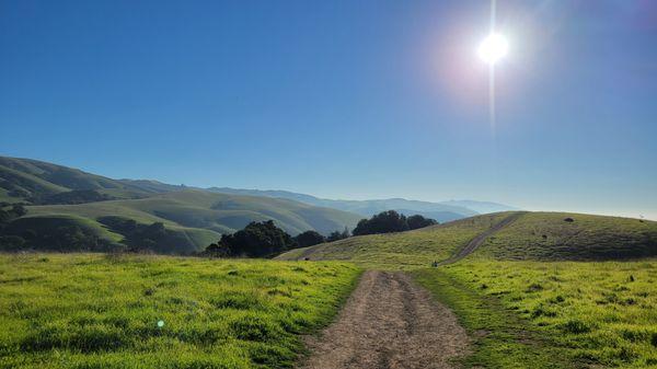 The trails surrounding the Dry Creek Apartments are wonderful.