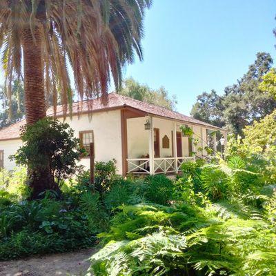 One can enter the preserved home surrounded by a plethora of plants!