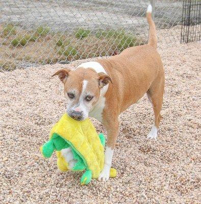 Katie loves her toys