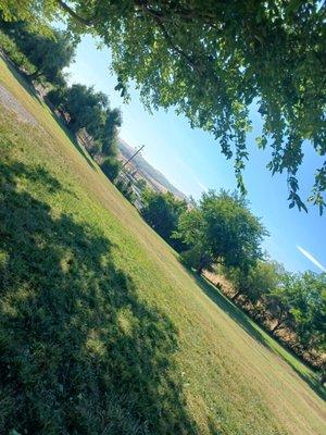 Dog park top of the hill