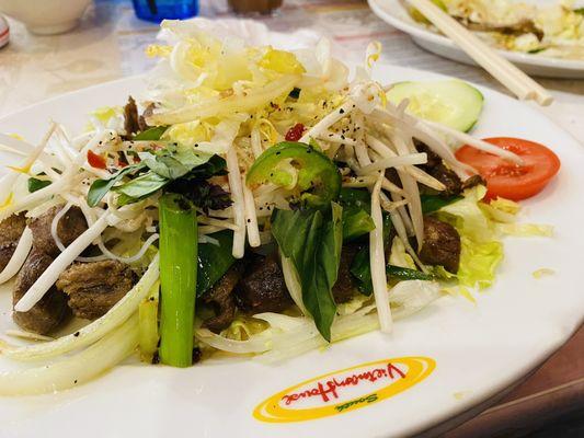 Shaky beef added fresh bean sprouts, jalapeños, Thai basil, under fresh string onions