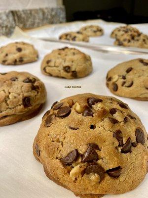 Homemade Levain chocolate chip walnut cookies from scratch.