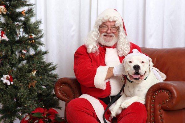 Mabel visited Santa at the Dog Spot.