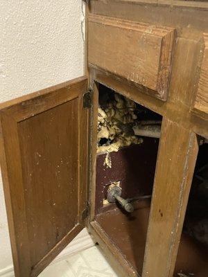 open hole with god knows what that leads directly into the wall RIGHT UNDER THE KITCHENETTE SINK.