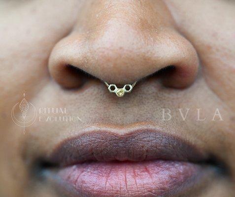 Fresh septum jewelry for one of our favorite customers !