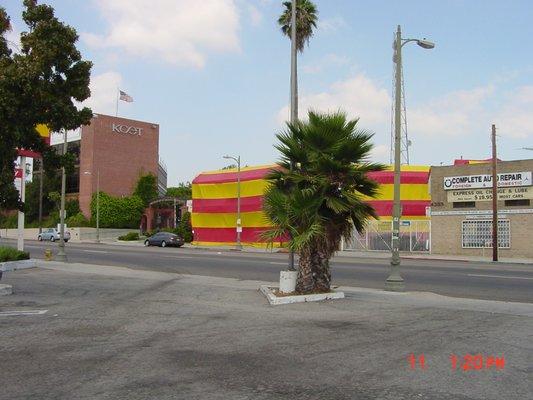 TERMITES AT KCET BUILDING