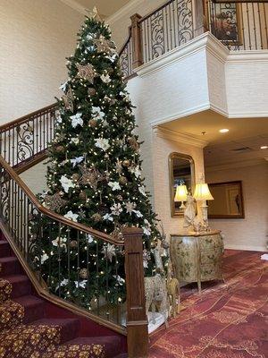 Gorgeous holiday displays inn the Columns.