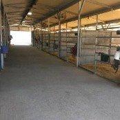 Barn B has 14 stalls that are 12x24 stalls with automatic waters, rubber matte floors, and fly spray in each stall.