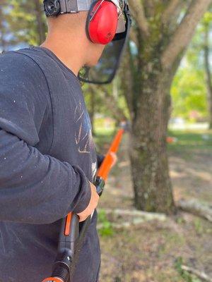 With Hours and Hours of Training We try to Better our Product! Here is Arron raising the Elevation on a Bradford Pear!