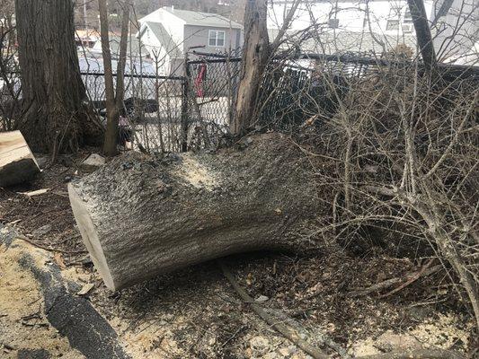 Stump grinding and carting away service