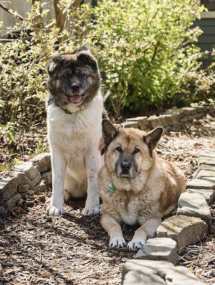 Two favs Maggie and Rusty!