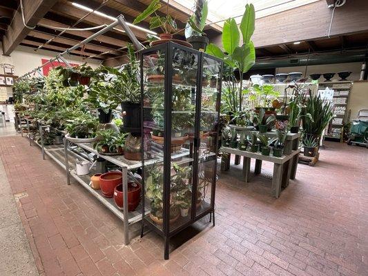 Indoor plant nursery @ Grange Co-op.