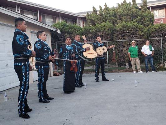 Mariachi Pedregal te ofrece servicios de serenatas para diferentes eventos:  Bodas  Cumpleaños  Comunión  Funeral  Eventos especiales