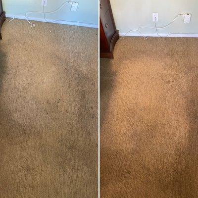 Office Carpet DEEP cleaning