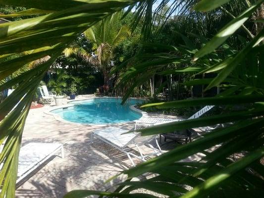 FREE FORM HEATED TROPICAL POOL