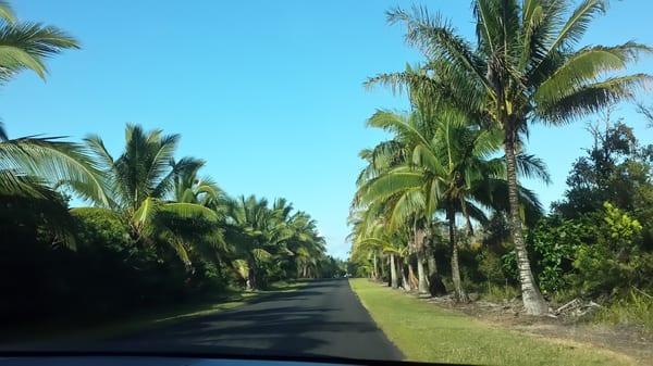 Kapoho Kai road