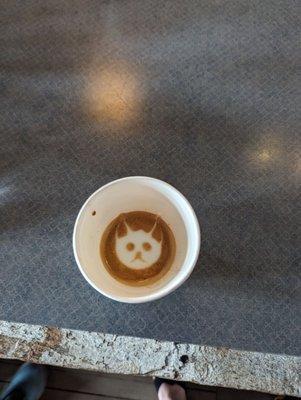 Cortado. Meow