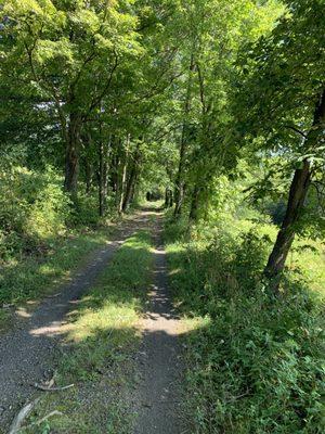 Mohonk Preserve Trail