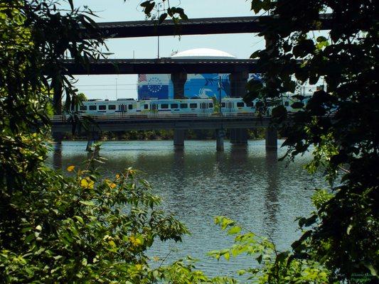 The Light Rail passes along the river with the road to Interstate 95 above.