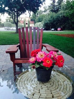 The gorgeous view behind the winery, great for a relaxing evening with a panini and glass of wine!