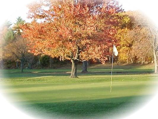 Looking at the third green!