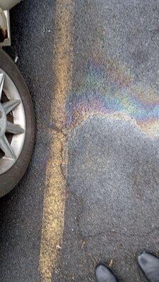 This is the oil leak my car suffered after being rear ended and they refuse to even look at it