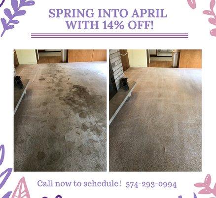 Spring into April with a Healthy Home. Green certified carpet cleaning and dries in 1-2 hours.