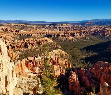 Bryce Point View Point