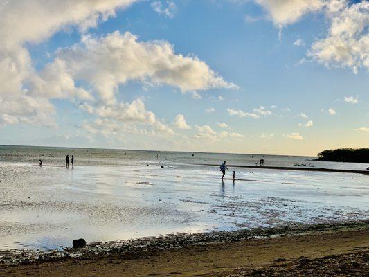 Children and pet-friendly. Ankle deep water that you can easily walk across and enjoy the reflection of the sky!