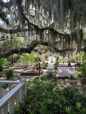 Entry courtyard, so welcoming.