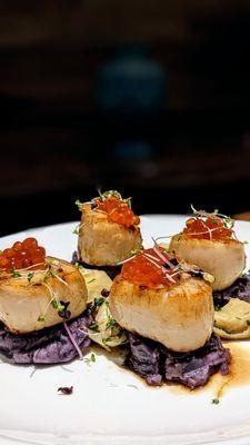 Jumbo Scallops