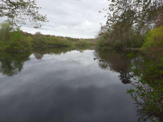 The Old Ice Pond.