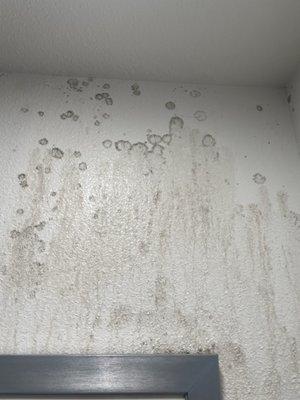 Mold in room111 bathroom