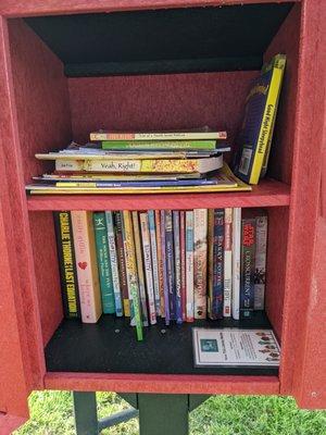 Lopez Little Library, 4975 Sarah Drive, Mason