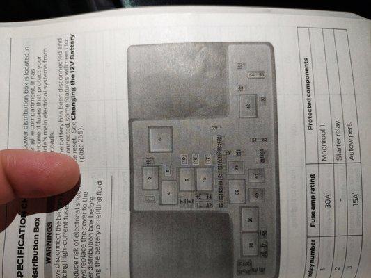 Diagram in the book of the fuse box. Spot 41 is for the horn.