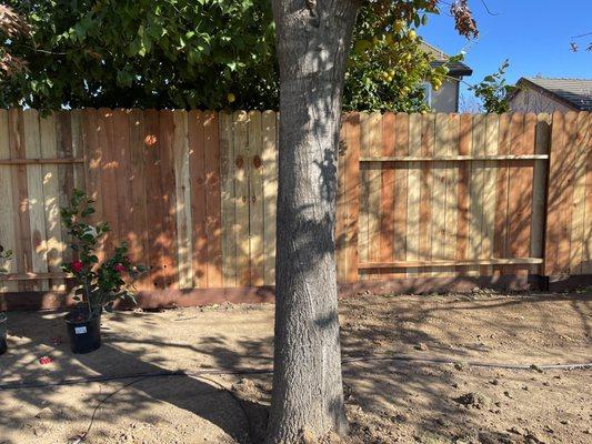 Berco Redwood Fence on our property.