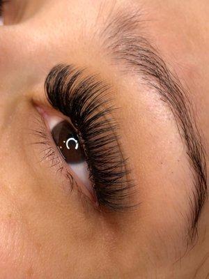 Volume Lashes