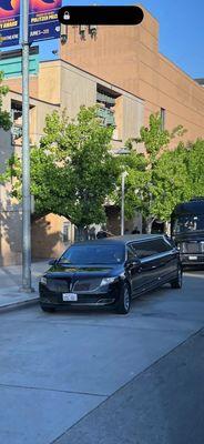 The limo for our wedding