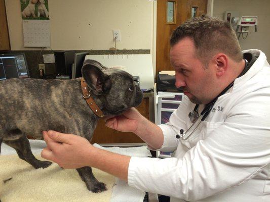 Frank loves his vet!