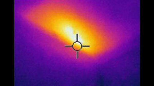 Using thermal imaging to find exact location of bees