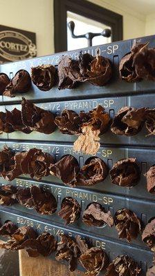 Cigars resting in cigar molds