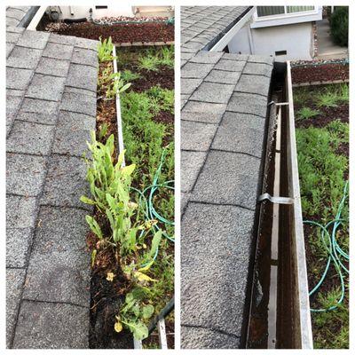 Residential gutter cleaning in Fair Oaks | Pressure washers in El Dorado Hills California | Window washers in El Dorado Hills, CA