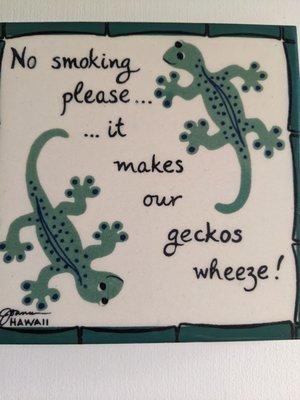 Geckos