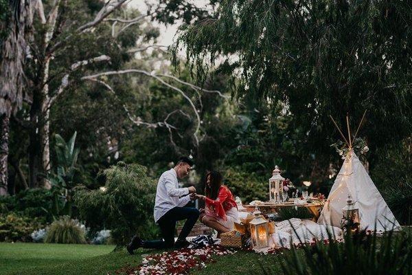 #proposal#Romantic picnics#picnics#