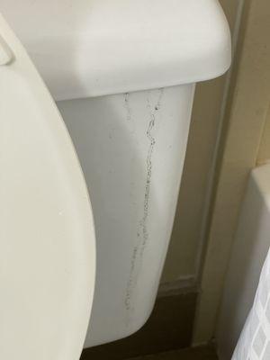 Dirty water leaking from the toilet tank