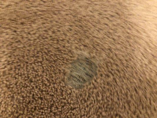 Carpet has holes